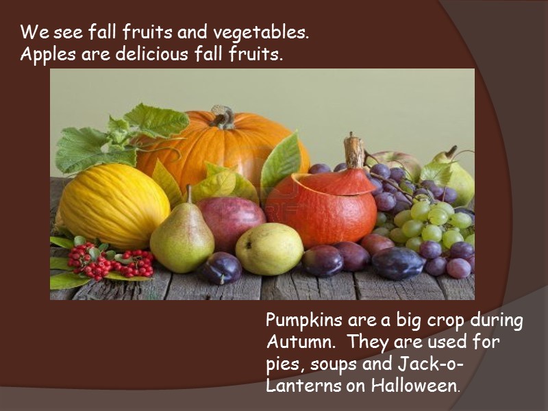 We see fall fruits and vegetables. Apples are delicious fall fruits. Pumpkins are a